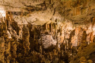 Slovenya 'daki Postojna mağarası kaya oluşumları