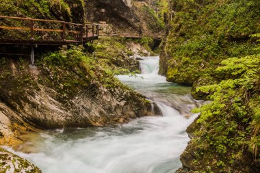 Slovenya, Bled yakınlarındaki Vintgar Geçidi