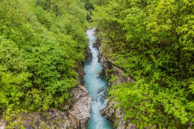 Slovenya 'nın Bovec köyü yakınlarındaki Soca nehri vadisi