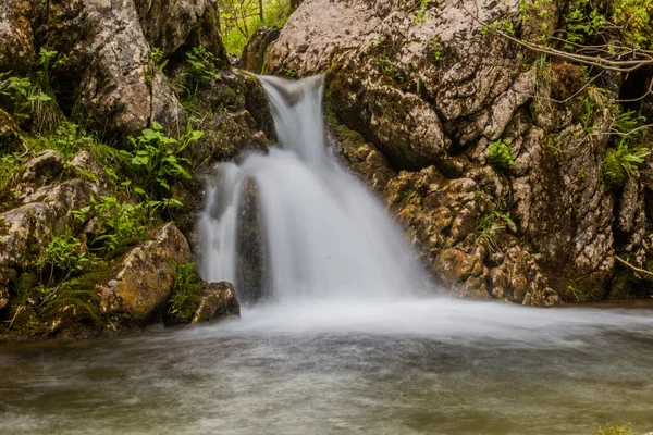 Pequeña Cascada Arroyo Mlinski Potok Las Montañas Durmitor Montenegro —  Fotos de Stock