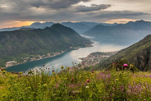 Zonsondergang Uitzicht Kotor Bay Montenegro — Stockfoto