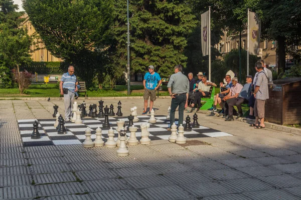 Sarajevo Bosnia Herzegovina June 2019 People Play Chess Park Sarajevo — Stock Photo, Image