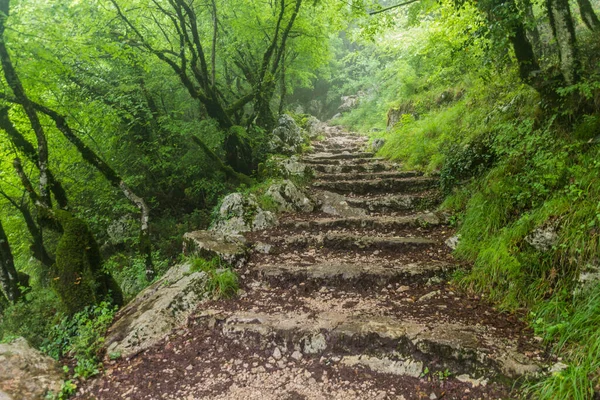 Sentier Randonnée Travers Une Forêt Monastère Ostrog Monténégro — Photo