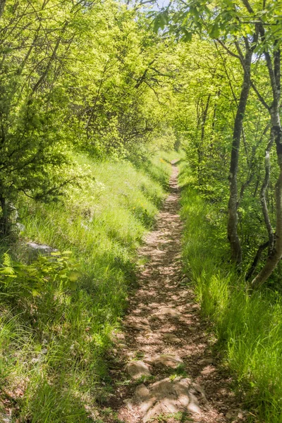 Wandelpad Bij Skocjan Caves Slovenië — Stockfoto