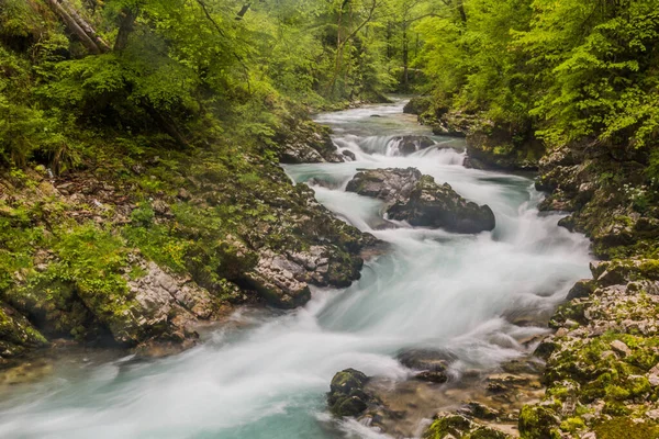 Slovenya Bled Yakınlarındaki Vintgar Geçidi — Stok fotoğraf