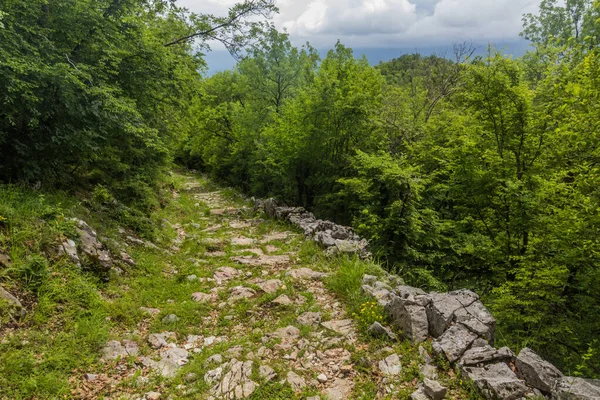 穿过森林走到黑山奥斯特里修道院 — 图库照片