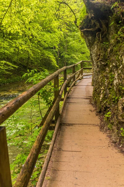 Boardwalk Vintgar Ravin Nära Bled Slovenien — Stockfoto