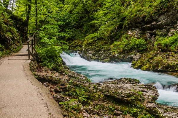 Gorge Vintgar Près Bled Slovénie — Photo
