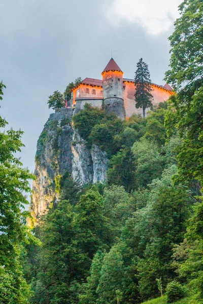 Blejski Grad Bled Castle Slovinsku — Stock fotografie