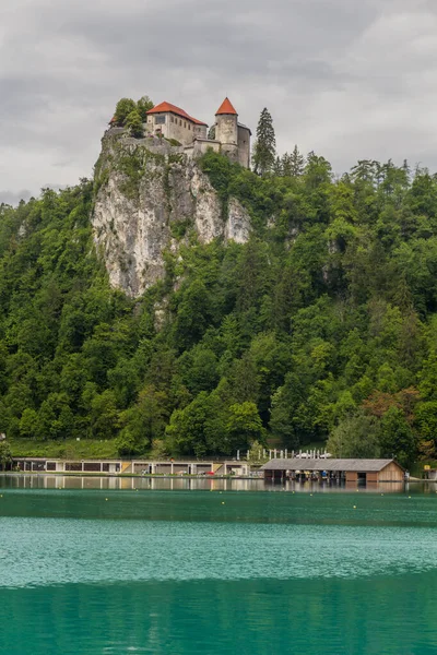 Blejski Grad Castillo Bled Eslovenia — Foto de Stock