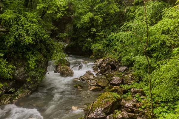 Tolmin Gorges Tolminska Korita Slovenya — Stok fotoğraf