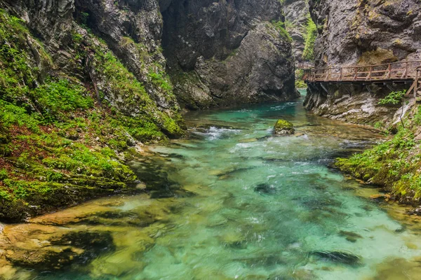 Vintgar Gorge Bij Bled Slovenië — Stockfoto