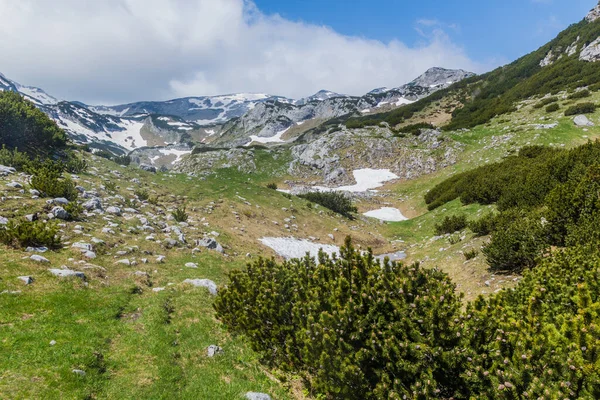 Paisagem Parque Nacional Durmitor Montenegro — Fotografia de Stock