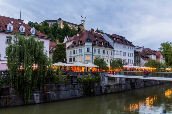 Ljubljana Slovenia May 2019 Riverside Houses Ljubljana Castle Slovenia — Stock Photo, Image