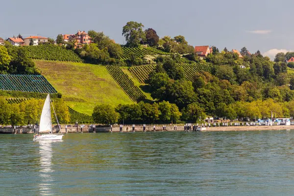 Vineyards North Coast Lake Constance Baden Wurttemberg State Germany — Stock Photo, Image