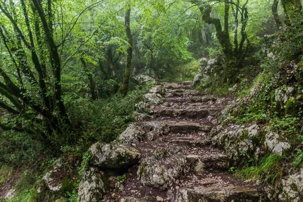 穿过森林走到黑山奥斯特里修道院 — 图库照片