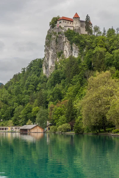 Blejski Grad Bled Castle Словенії — стокове фото