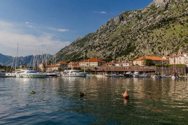 Kotor Montenegro Juni 2019 Båtar Kotor Marina Montenegro — Stockfoto