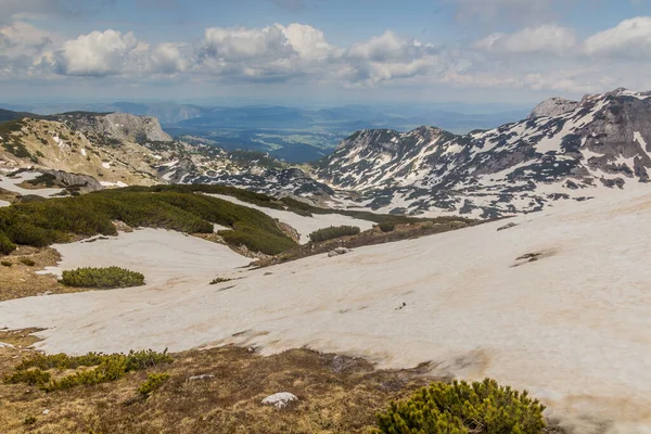 Vale Alisnica Parque Nacional Durmitor Montenegro — Fotografia de Stock