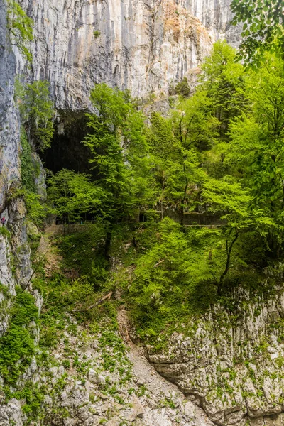 Tiefe Schlucht Bei Skocjanske Jame Höhlen Von Skocjan Slowenien — Stockfoto