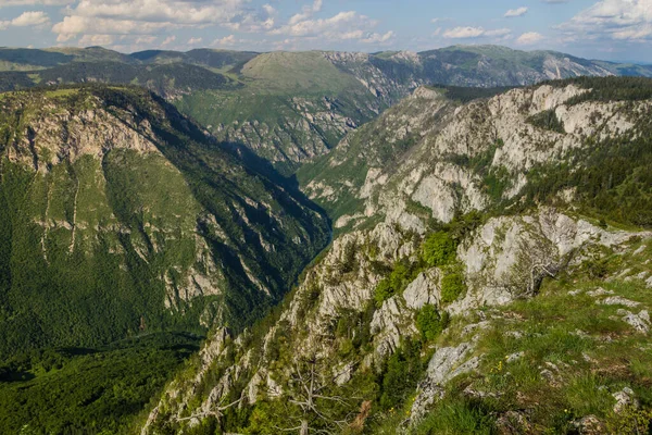 Vista Del Cañón Tara Desde Montaña Curevac Montenegro — Foto de Stock