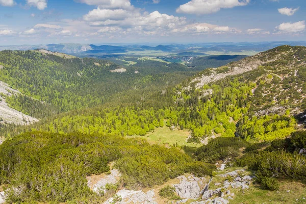 Durmitor Ulusal Parkının Manzarası Karadağ — Stok fotoğraf
