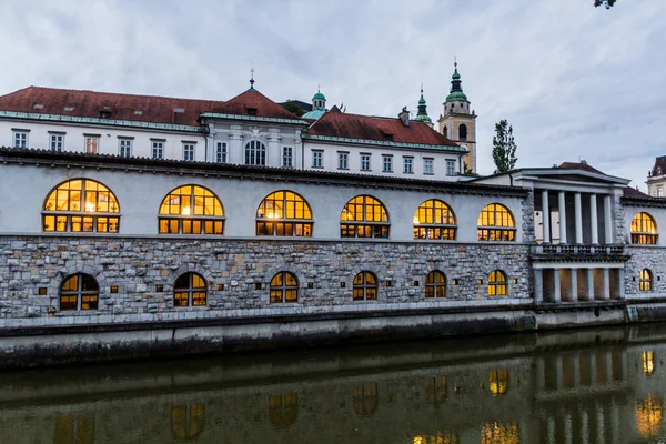 Будівля Аркадних Ринків Плечника Відображає Річку Люблянка Любляні Словенія — стокове фото