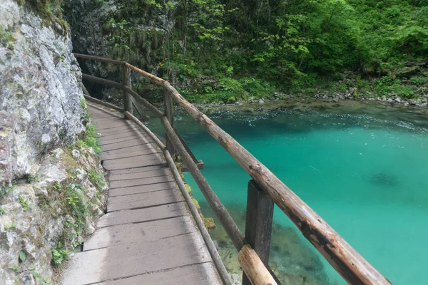 Boardwalk Vintgar Kloof Bij Bled Slovenië — Stockfoto