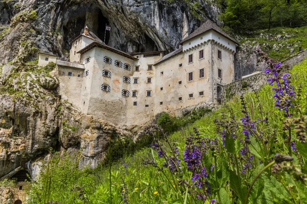 Vista Castelo Predjama Eslovénia — Fotografia de Stock