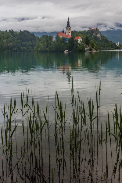 Vista Lago Bled Com Igreja Peregrinação Assunção Maria Castelo Bled — Fotografia de Stock