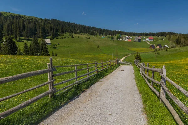 Villaggio Bosaca Nelle Montagne Durmitor Montenegro — Foto Stock