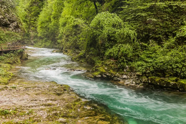 Rivière Radovna Dans Gorge Vintgar Près Bled Slovénie — Photo