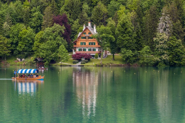 Bled Slovenia 2019 슬로베니아 호수에서 보트타기 — 스톡 사진
