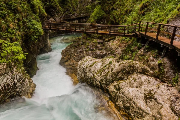 Passeggiata Nella Gola Vintgar Vicino Bled Slovenia — Foto Stock