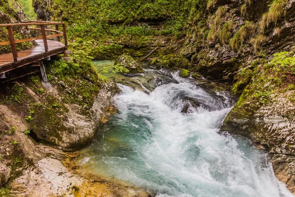 Gorge Vintgar Près Bled Slovénie — Photo