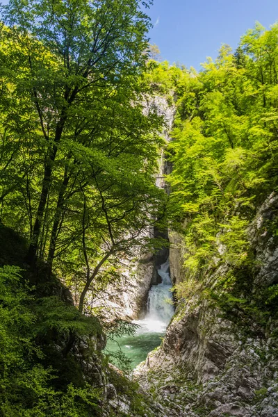 Deep Gorge Skocjanske Jame Skocjan Caves Slovenia — Stock Photo, Image