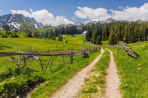 Camino Bosaca Pueblo Las Montañas Durmitor Montenegro — Foto de Stock