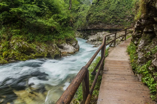 Promenade Dans Gorge Vintgar Près Bled Slovénie — Photo