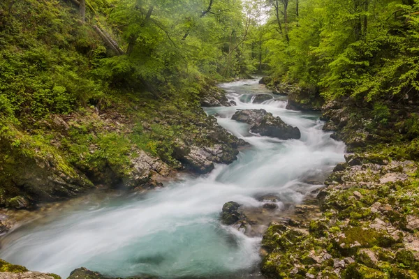 Vintgar Gorge Pobliżu Bled Słowenia — Zdjęcie stockowe