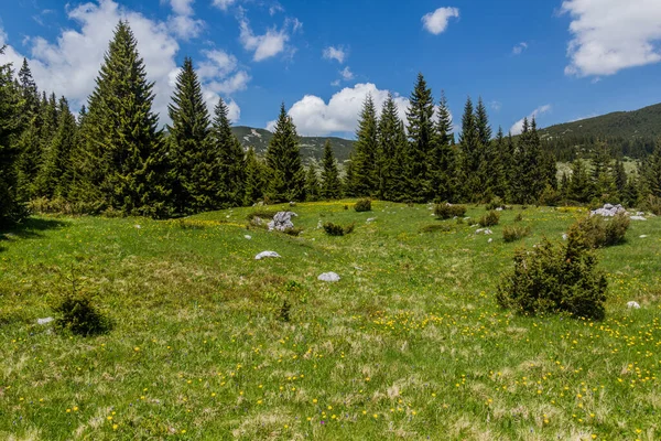 Paisaje Las Montañas Durmitor Montenegro — Foto de Stock