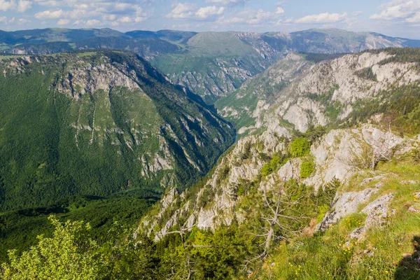 View Tara Canyon Montenegro — Stock Photo, Image