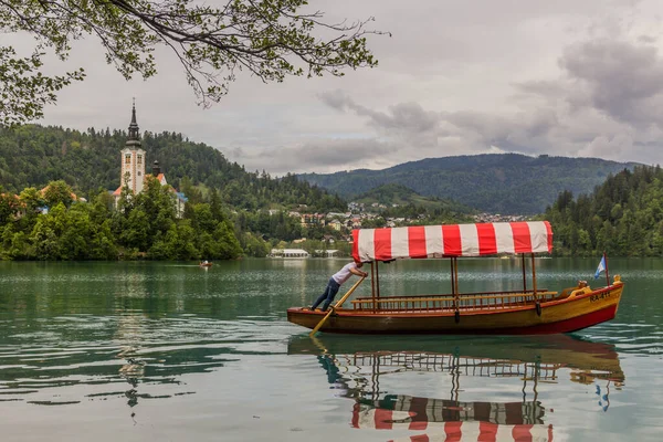 Bled Slovenia 2019 슬로베니아 호수에서 보트타기 — 스톡 사진