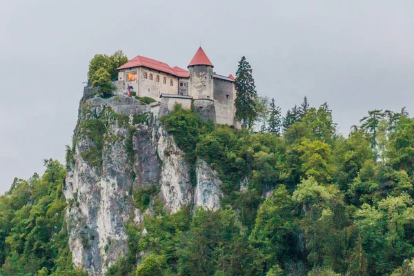 Blejski Grad Bled Castle Στη Σλοβενία — Φωτογραφία Αρχείου