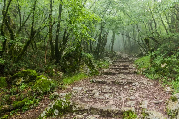 Szlak Turystyczny Przez Las Klasztoru Ostrog Czarnogóra — Zdjęcie stockowe