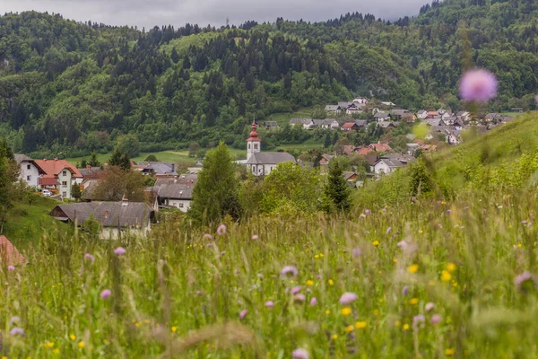 Vista Del Pueblo Spodnje Gorje Cerca Bled Eslovenia — Foto de Stock