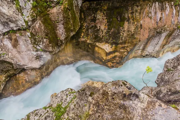 Slovenya Nın Bovec Köyü Yakınlarındaki Soca Nehri Vadisi — Stok fotoğraf