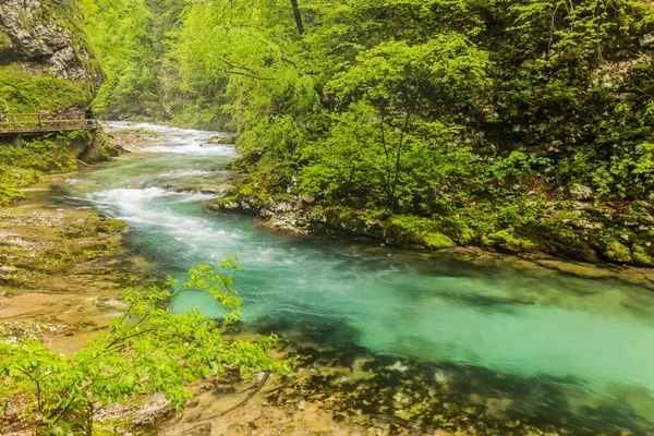 River Radovna Vintgar Gorge Bled Slovenia — Stock Photo, Image