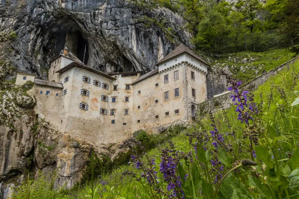 Vista Del Castillo Predjama Eslovenia —  Fotos de Stock