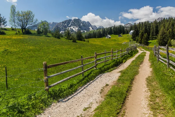 Caminho Bosaca Aldeia Durmitor Montanhas Montenegro — Fotografia de Stock