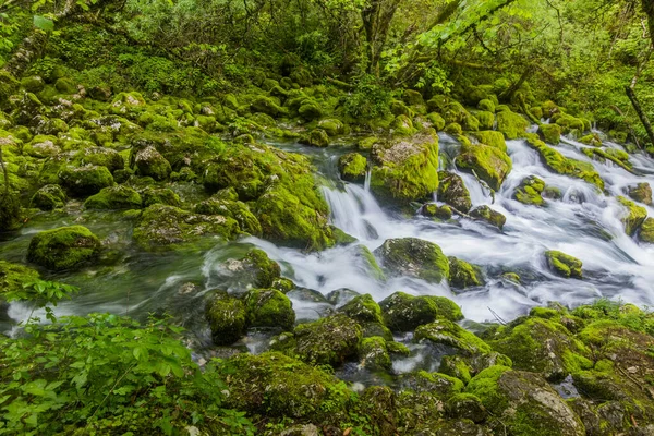 Slovenya Nın Bovec Köyü Yakınlarındaki Gljun Akarsu Kaynağı — Stok fotoğraf